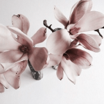 d63da6be-image-5.2.png